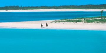 The Abacos